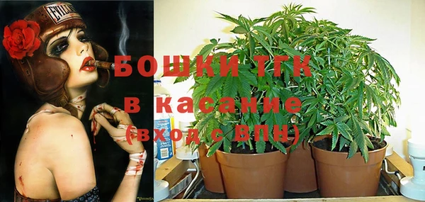 трава Покачи