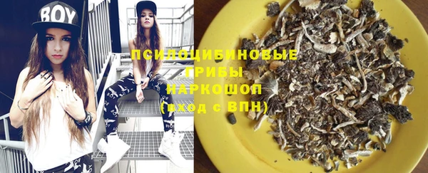 трава Покачи