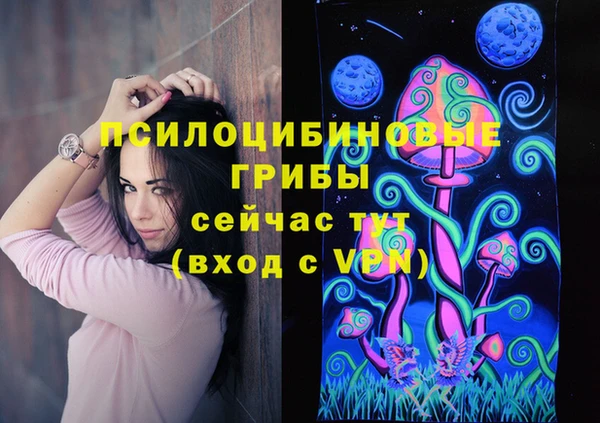 ПСИЛОЦИБИНОВЫЕ ГРИБЫ Алексеевка