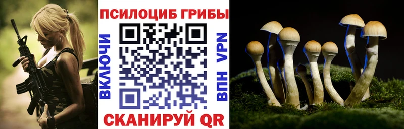 Псилоцибиновые грибы ЛСД  купить   Палласовка 